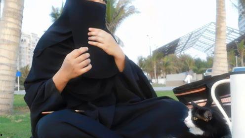 娱乐吃瓜君秋雅