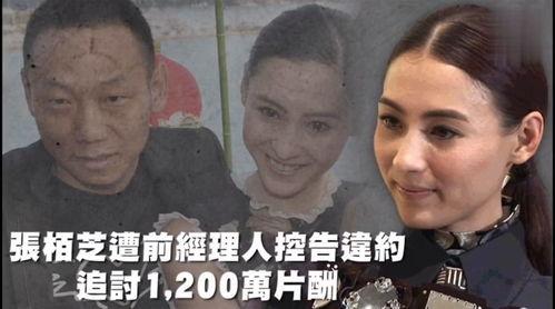 娱乐吃瓜喷子在线观看,娱乐吃瓜喷子现象背后的真相